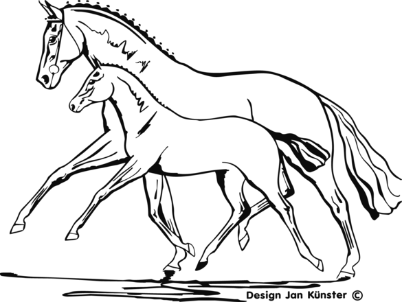 Böckmann Dekor für Pferdeanhänger Stute mit Fohlen in der Farbe schwarz.