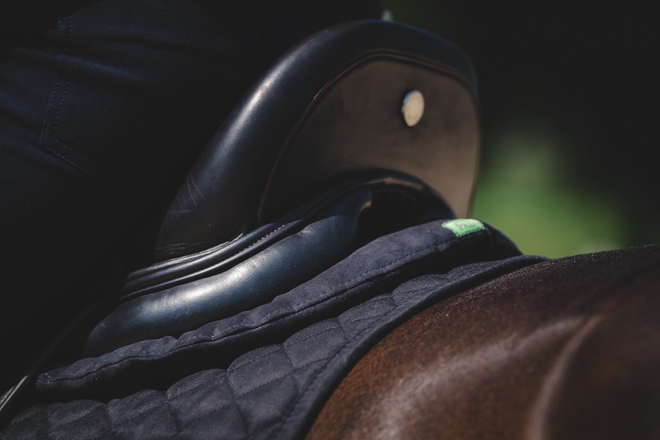 Das Böckmann HopperPad Dressage x Böckmann.