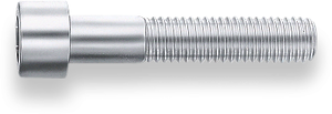 Vis hexagonale intérieure M6 x 30 mm
