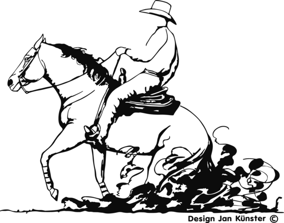 Böckmann Dekor für Pferdeanhänger Western in der Farbe schwarz.