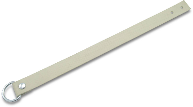 Planen Aufrollriemen mit Halbrundring  300 x 20 mm von Boeckmann
Planen Aufrollriemen mit Halbrundring  300 x 20 mm von Böckmann