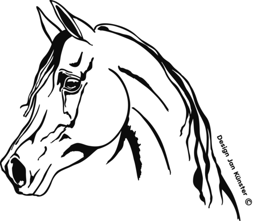 Böckmann Dekor für Pferdeanhänger Araber in der Farbe schwarz.