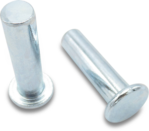 Bolt for pendulum lock (1st piece)