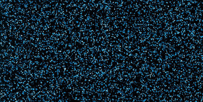 Farbvarianten für die Böckmann Pferdeanhänger.