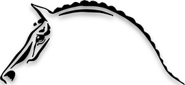 Aufkleber Pferdekopf in schwarz (3M) 410x192 links für Böckmann Pferdeanhänger