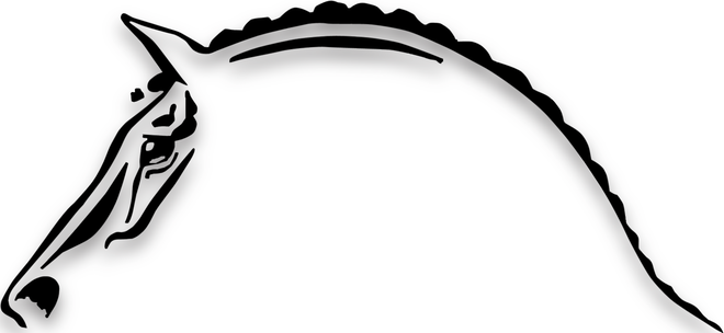 Aufkleber Pferdekopf in schwarz (3M) 410x192 links für Böckmann Pferdeanhänger