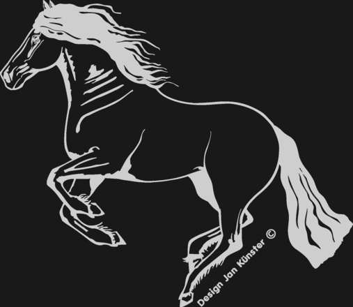 Böckmann Dekor für Pferdeanhänger Friese in der Farbe silber.