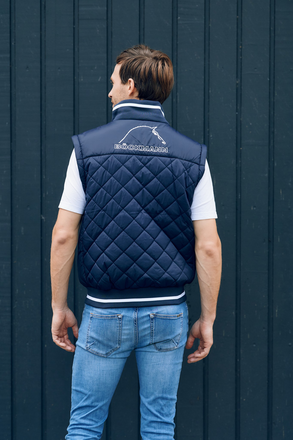 Mann trägt in Rückenansicht Böckmann Herren Blouson in blau  mit abgenommenen Ärmeln als Weste.